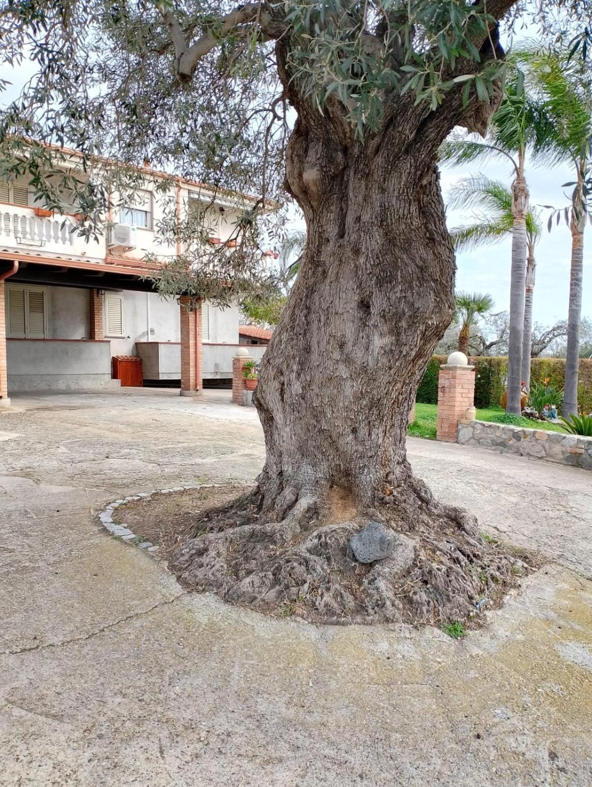 Casa Melia Apartment Monasterace Luaran gambar